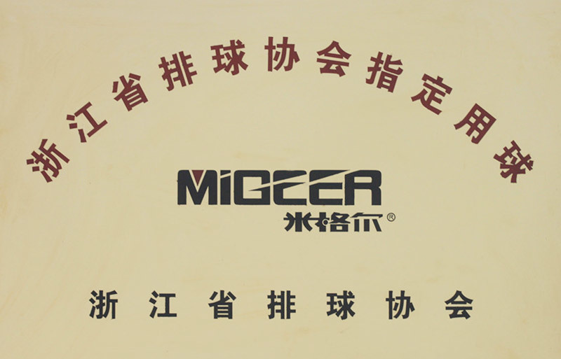 浙江省排气协会指定用球