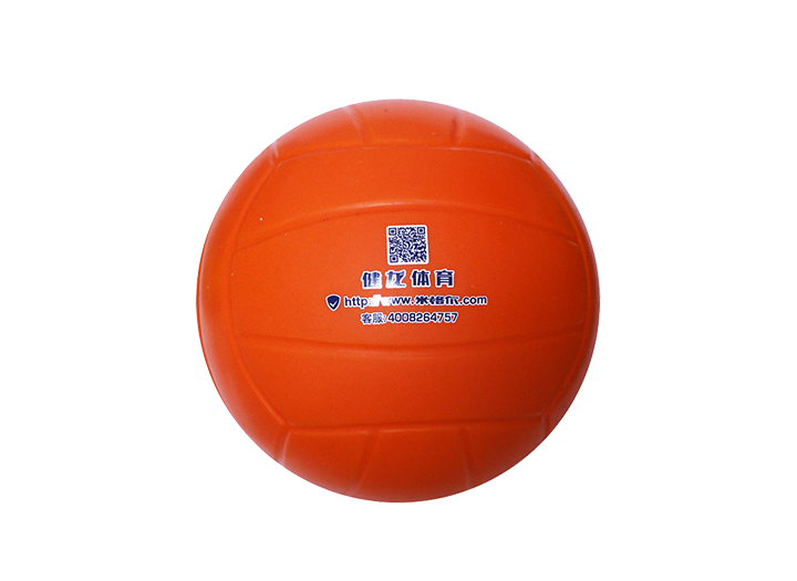 教学用球